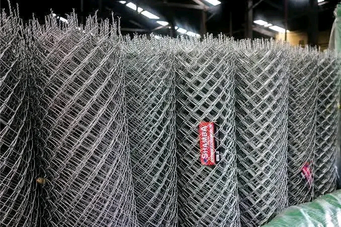 Devki Steel Mill limited 