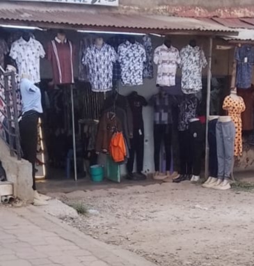 Carrey Tasha collection 