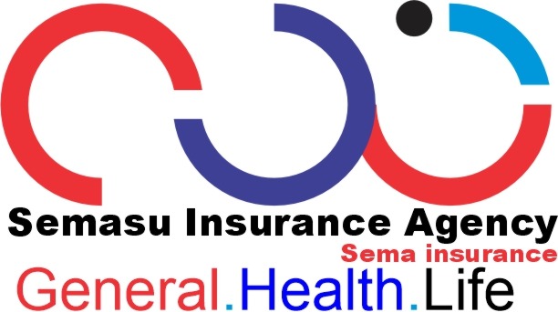 SEMASU INSURANCE AGENCY LTD