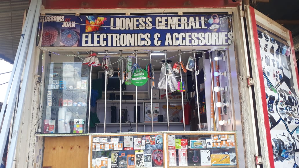 LIONESS GENERAL ELECTRICS AND ACCESSORIES 